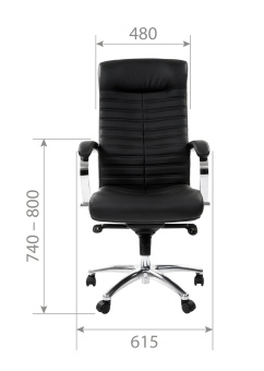 Офисное кресло CHAIRMAN 480 кожа/кз черный